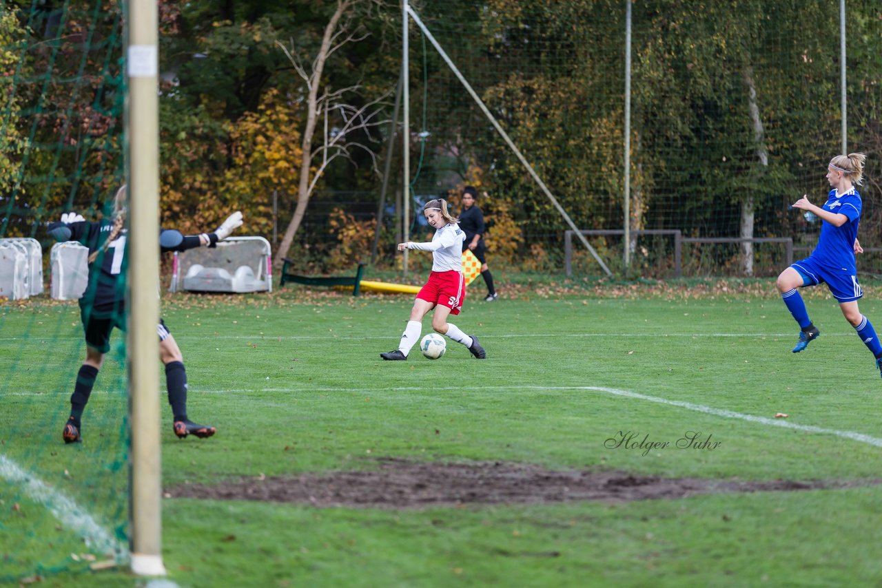 Bild 264 - B-Juniorinnen Hamburger SV - FC Neubrandenburg 04 : Ergebnis: 3:1